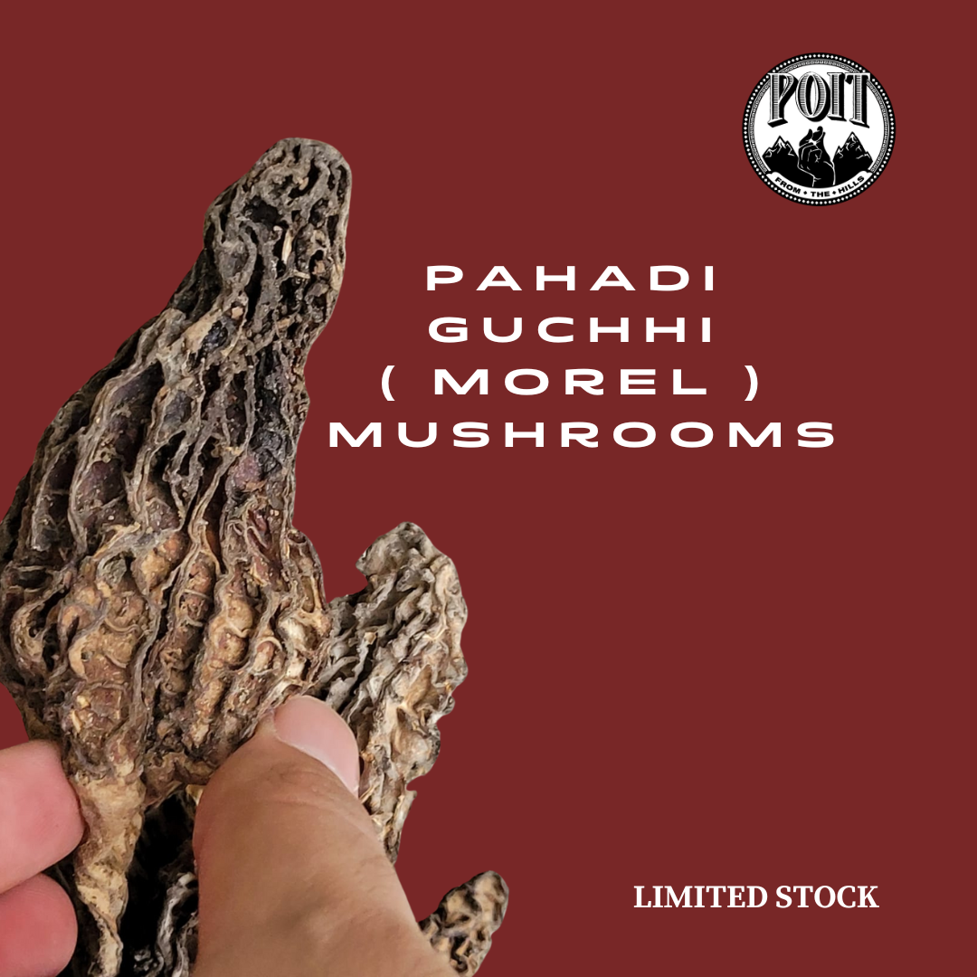 Poit From Hills Pahadi Guchhi ( Morel ) Mushrooms