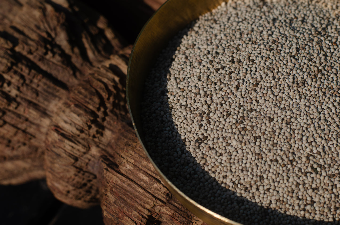 Bhang Zeera (Hemp Seed Seasoning)