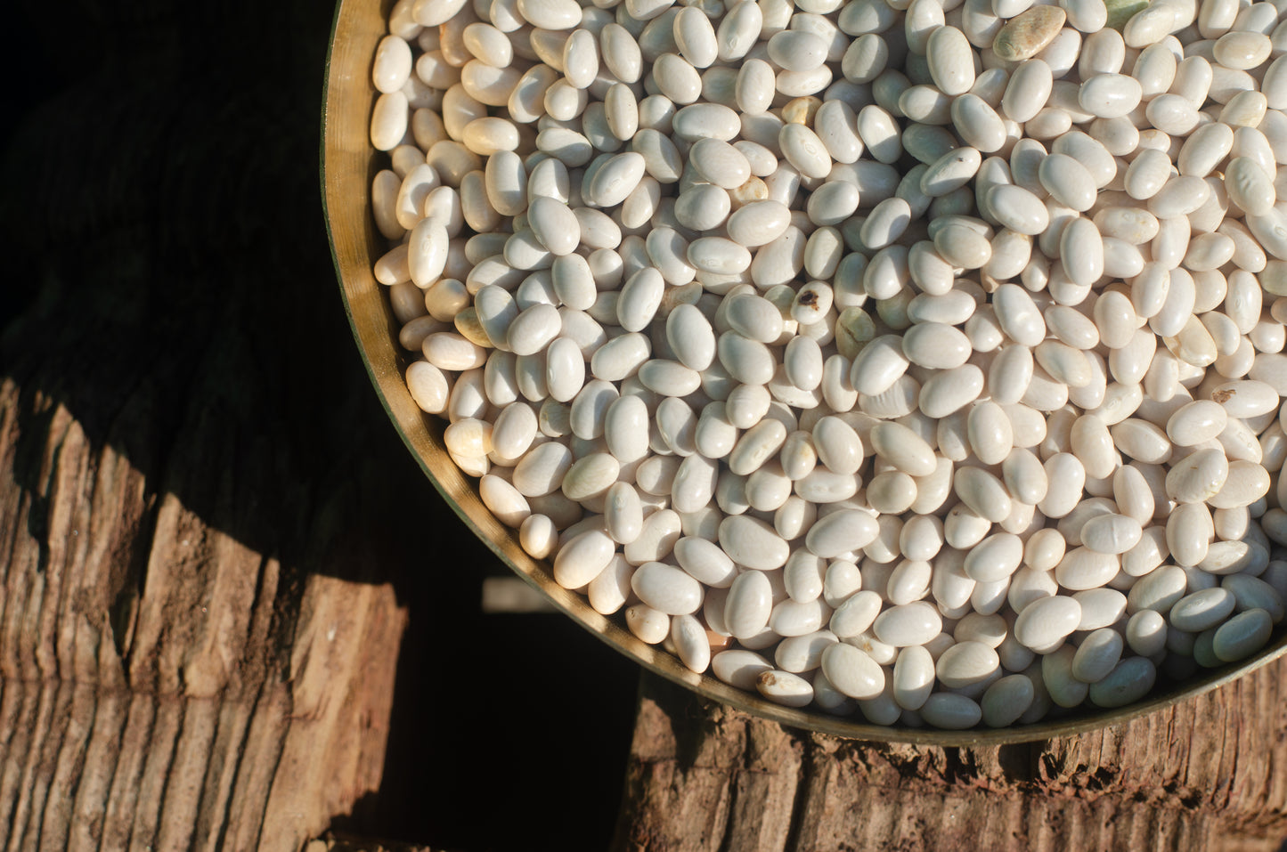 Baaliya White Rajma (Chemmi) – Pahadi Rajma from Uttarakhand