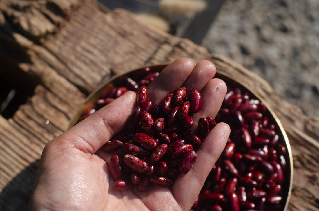 Different Types of Pahadi Rajma: Taste, Texture & Best Pairings