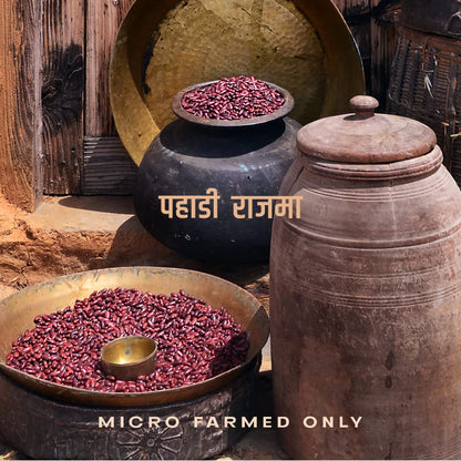 Poit From Hills Chakrata Rajma (Red Kidney Beans)