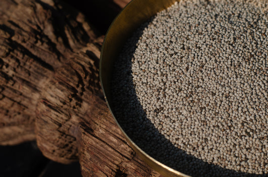 Bhang Zeera (Hemp Seed Seasoning)