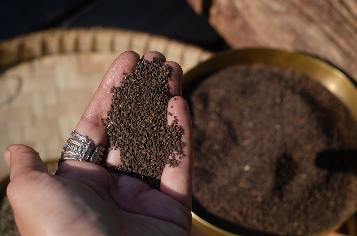 Jakhiya (Wild Mustard Seeds)