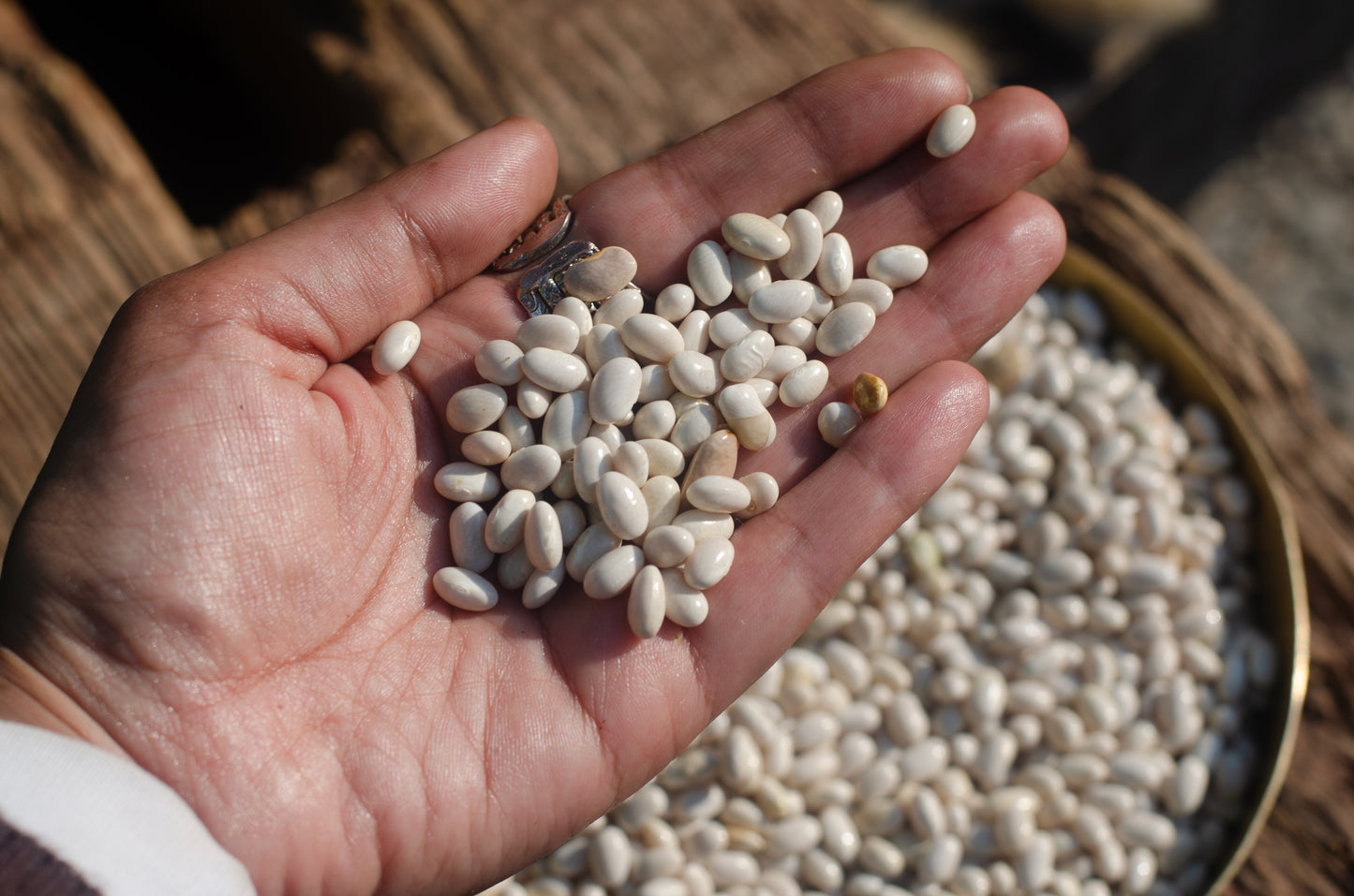 Baaliya White Rajma (Chemmi) – Pahadi Rajma from Uttarakhand