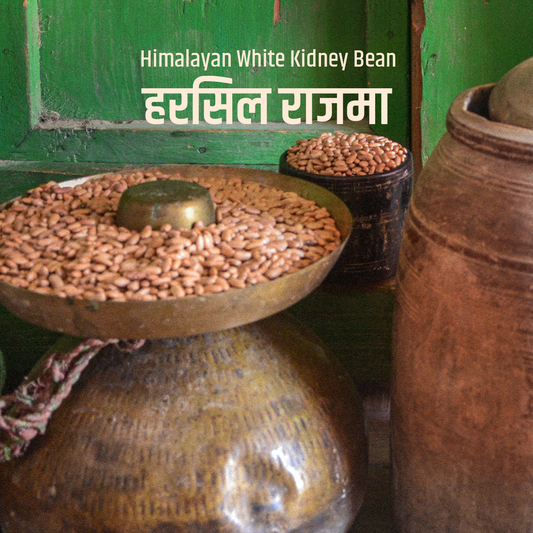 Poit From Hills Harsil Rajma (White Kidney Beans)