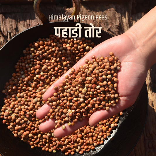 Poit From Hills Toor Dal (Whole Pigeon Pea)