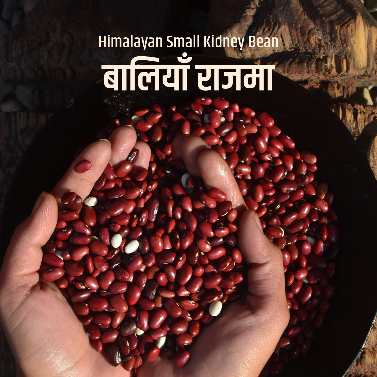Poit From Hills Baaliya Rajma (Chemmi/Carmine Beans)