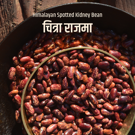 Poit From Hills Chitra Rajma (Himalayan Spotted Kidney Beans)