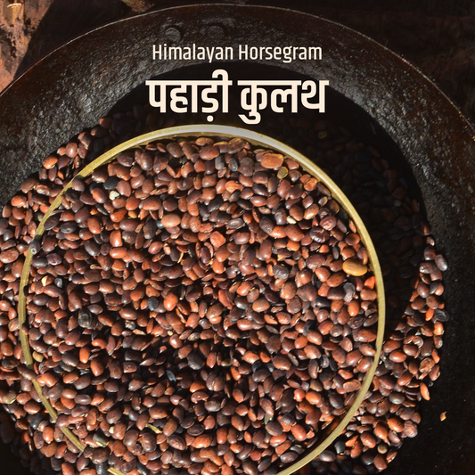 Poit From Hills Pahadi Special Kulath/Kulthi/Gahat Dal (Himalayan Horsegram)