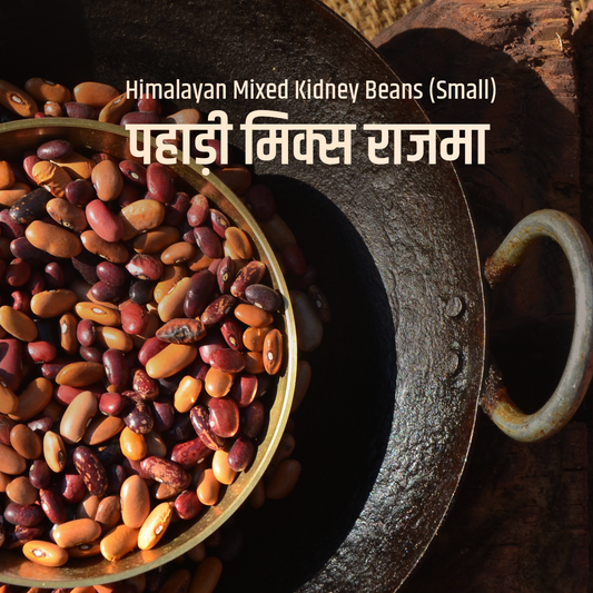 Poit From Hills Special Mix Rajma (Small Mixed Kidney Beans)