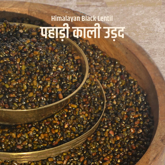 Poit From Hills Special Pahadi Urad Dal (Split Black Lentils)