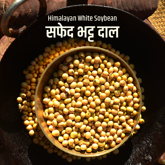 Poit From Hills Safed Bhatt Dal (White Soybean)